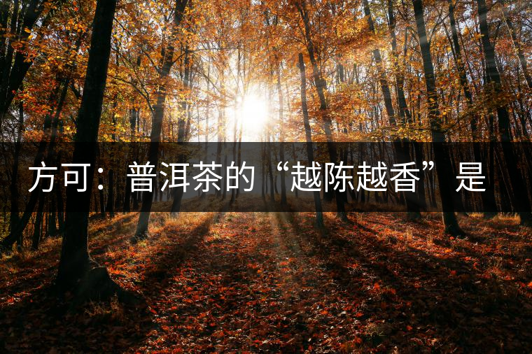 方可：普洱茶的“越陳越香”是有條件、有技術(shù)的