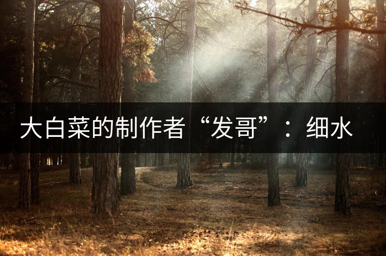 大白菜的制作者“發(fā)哥”：細水長流，做茶“急不得”