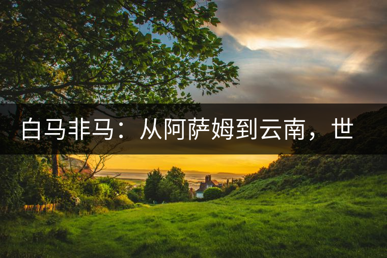 白馬非馬：從阿薩姆到云南，世界茶樹起源爭(zhēng)論的誤區(qū)