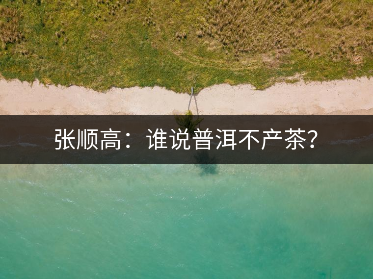 張順高：誰說普洱不產(chǎn)茶？