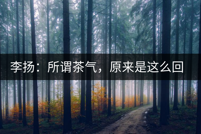 李揚：所謂茶氣，原來是這么回事
