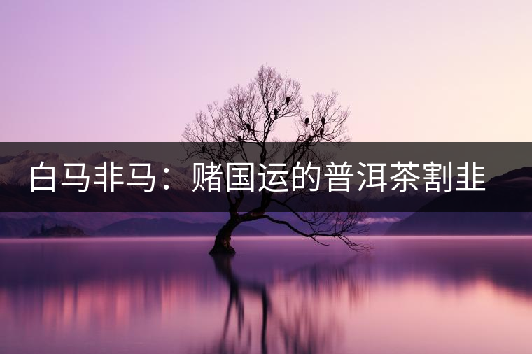 白馬非馬：賭國運(yùn)的普洱茶割韭菜運(yùn)動(dòng)