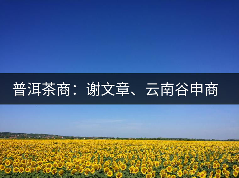 普洱茶商：謝文章、云南谷申商貿(mào)有限公司總經(jīng)理