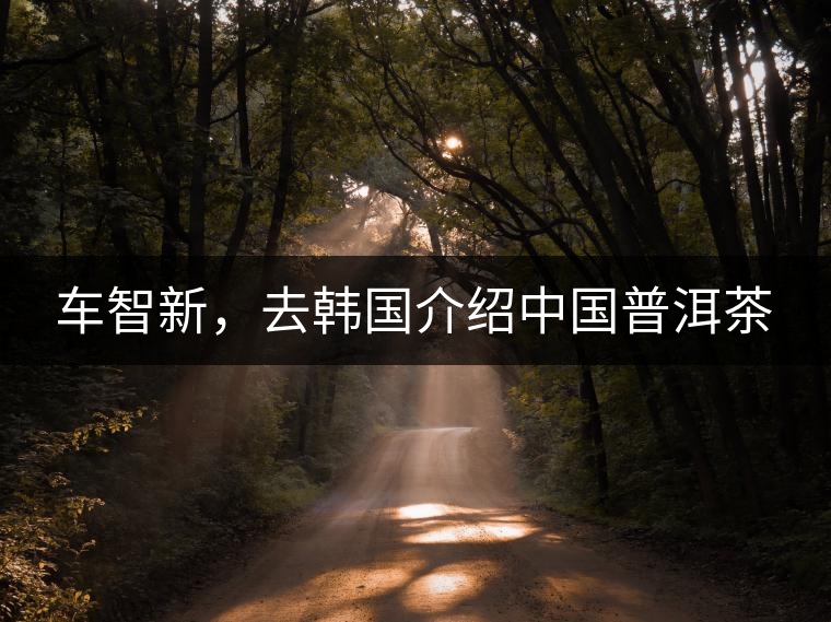 車智新，去韓國介紹中國普洱茶