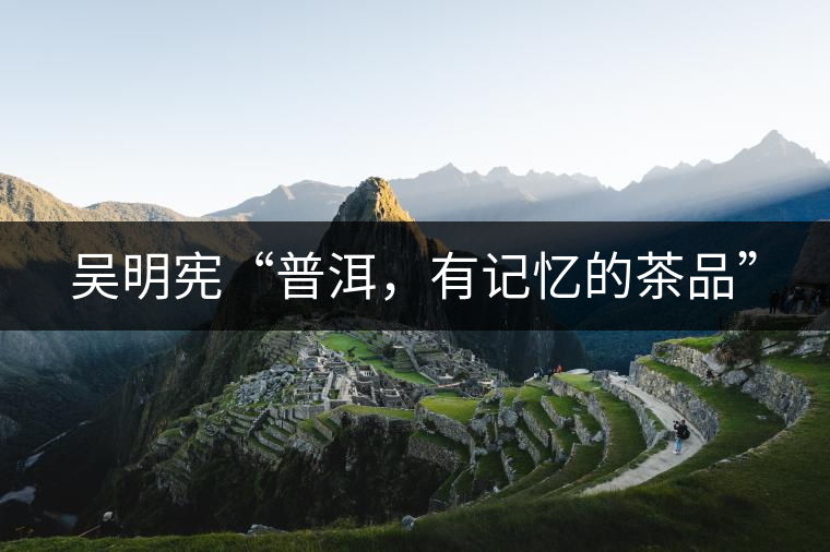 吳明憲“普洱，有記憶的茶品”