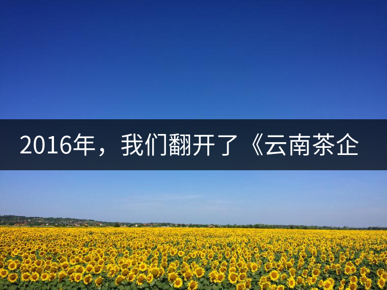2016年，我們翻開(kāi)了《云南茶企發(fā)展白皮書(shū)》