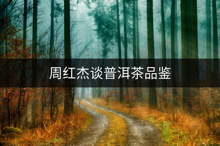 周紅杰談普洱茶品鑒