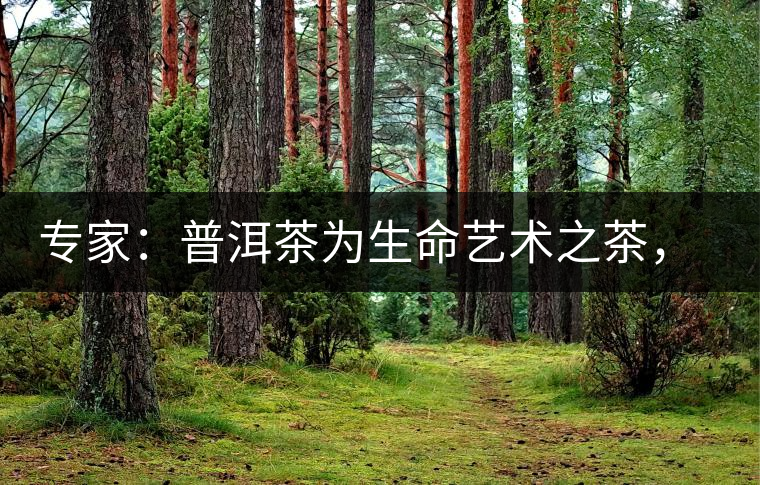 專家：普洱茶為生命藝術(shù)之茶，現(xiàn)低價時期可投資收茶