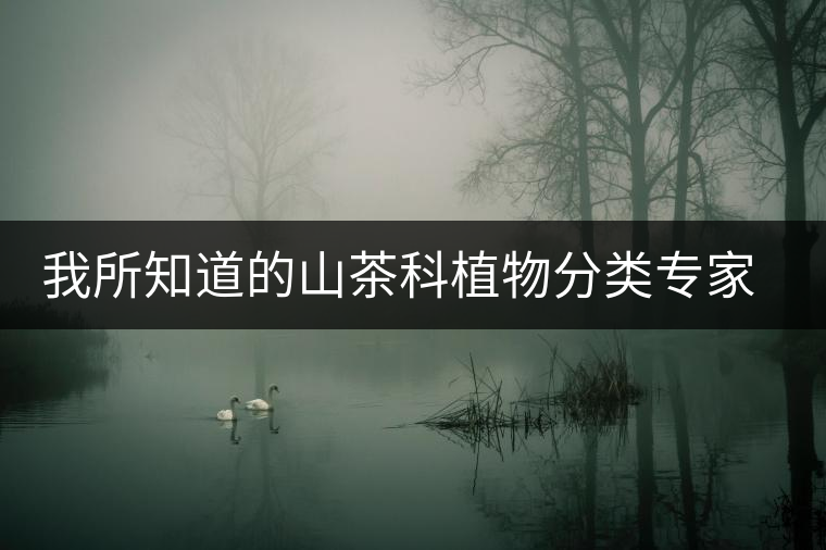 我所知道的山茶科植物分類(lèi)專(zhuān)家:張宏達(dá)先生 我所知道的山茶科植物分類(lèi)專(zhuān)家:張宏達(dá)先生