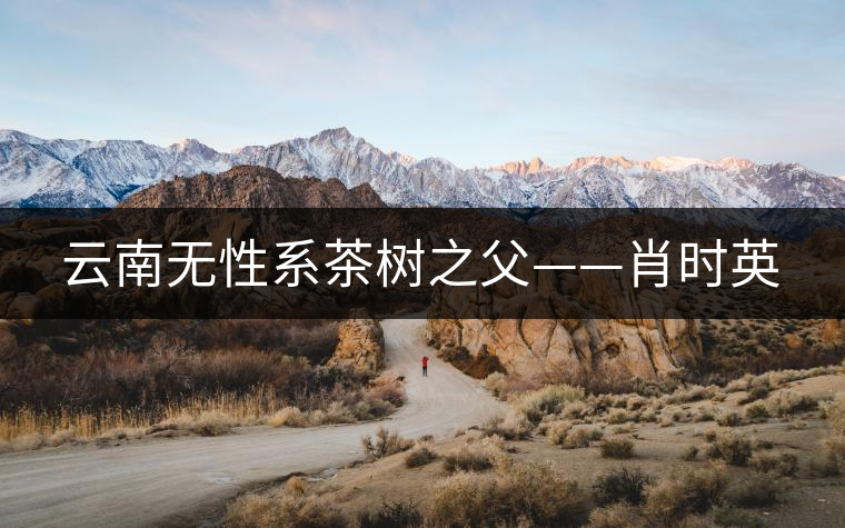 云南無(wú)性系茶樹之父——肖時(shí)英 云南無(wú)性系茶樹之父——肖時(shí)英