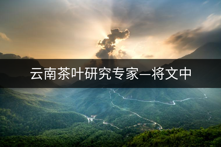 云南茶葉研究專家—將文中 云南茶葉研究專家—將文中