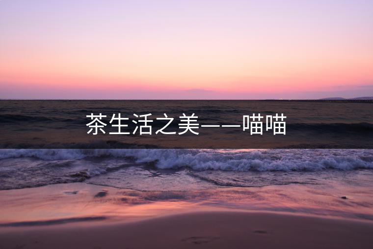 茶生活之美——喵喵
