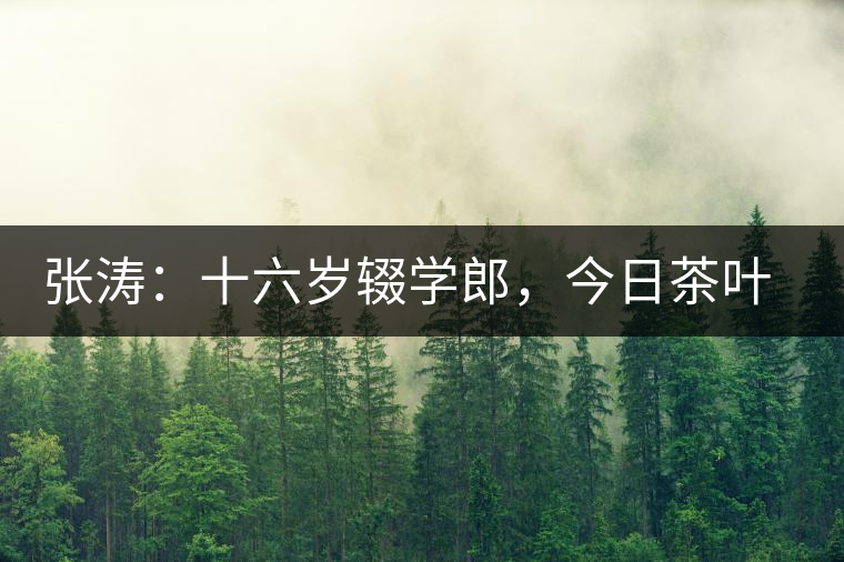 張濤：十六歲輟學郎，今日茶葉中堅