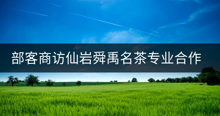 部客商訪仙巖舜禹名茶專業(yè)合作社負(fù)責(zé)人鮑樟苗 部客商訪仙巖舜禹名茶專業(yè)合作社負(fù)責(zé)人鮑樟苗