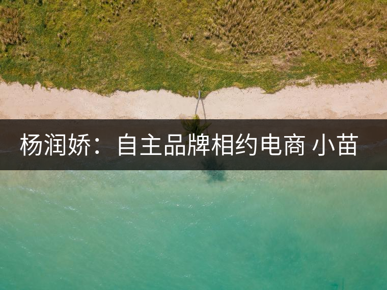 楊潤(rùn)嬌:自主品牌相約電商 小苗變大樹(shù) 楊潤(rùn)嬌:自主品牌相約電商 小苗變大樹(shù)