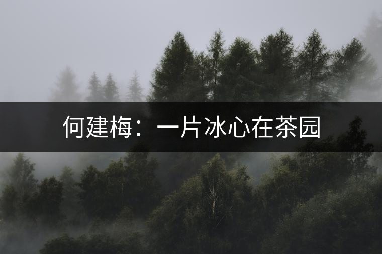 何建梅：一片冰心在茶園