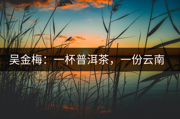 吳金梅：一杯普洱茶，一份云南情