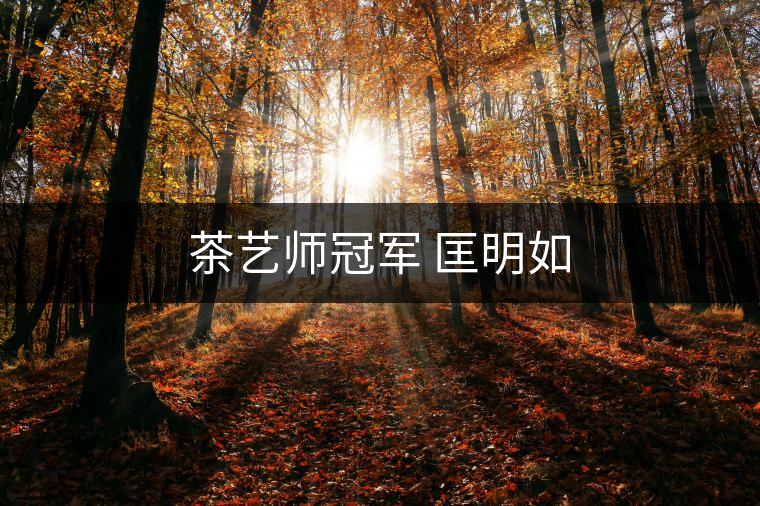 茶藝師冠軍 匡明如 茶藝師冠軍 匡明如