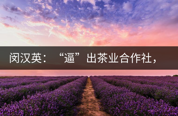 閔漢英：“逼”出茶業(yè)合作社，帶領(lǐng)村民走上致富路