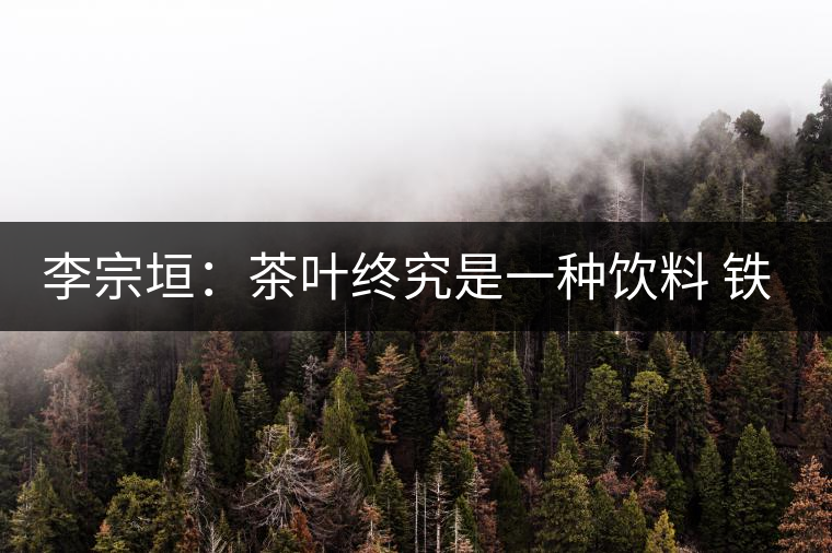 李宗垣:茶葉終究是一種飲料 鐵觀音回歸傳統(tǒng)不能一刀切 李宗垣:茶葉終究是一種飲料 鐵觀音回歸傳統(tǒng)不能一刀切