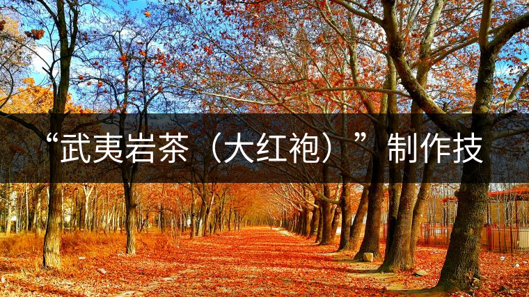 “武夷巖茶（大紅袍）”制作技藝的唯一女傳承人游玉瓊