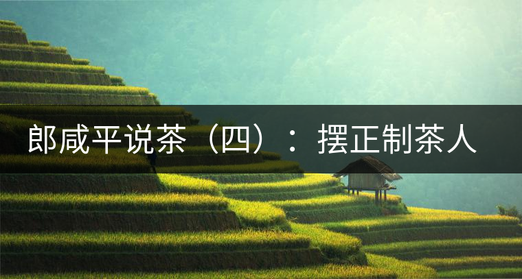 郎咸平說茶（四）：擺正制茶人的地位