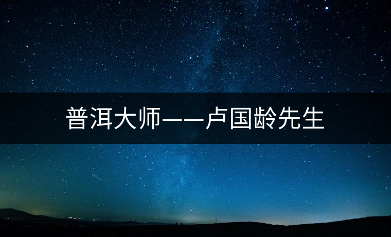 普洱大師——盧國(guó)齡先生