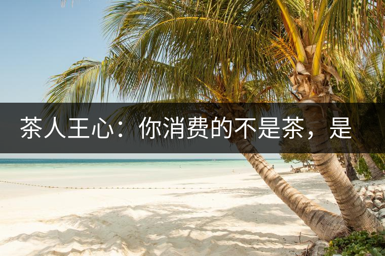 茶人王心：你消費(fèi)的不是茶，是我