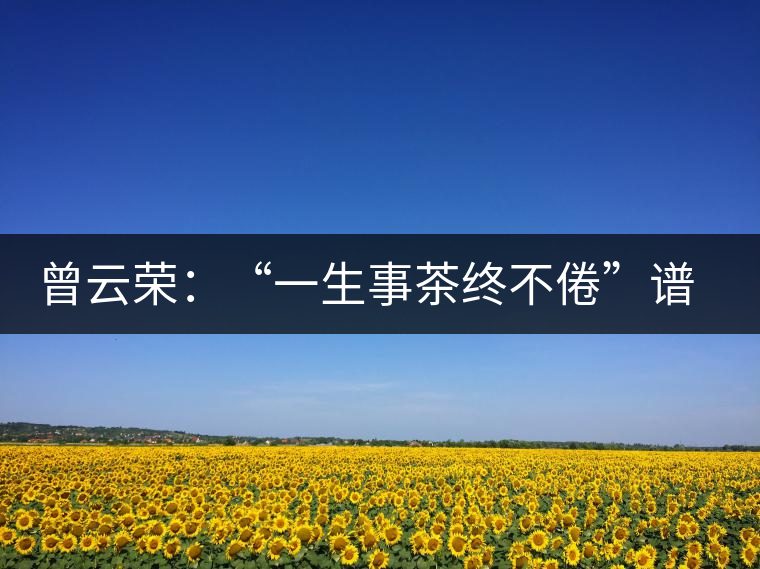曾云榮:“一生事茶終不倦”譜寫絢麗人生 曾云榮:“一生事茶終不倦”譜寫絢麗人生