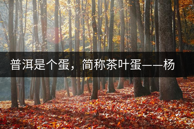 普洱是個(gè)蛋，簡(jiǎn)稱茶葉蛋——楊鎮(zhèn)瑜訪談錄