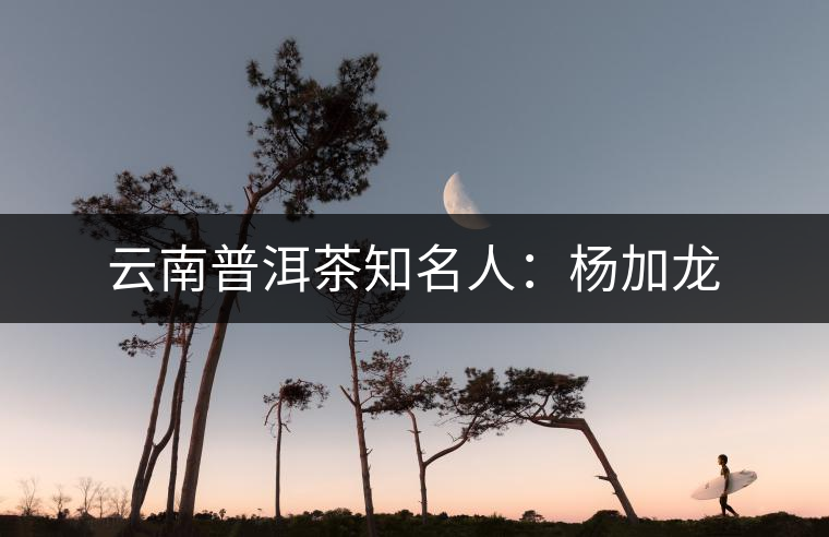 云南普洱茶知名人：楊加龍