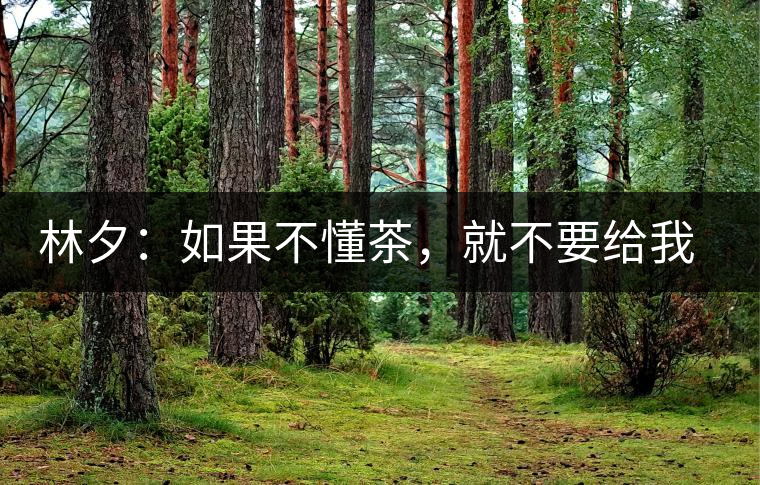 林夕：如果不懂茶，就不要給我送茶