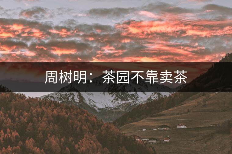 周樹明：茶園不靠賣茶