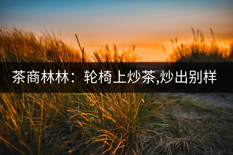 茶商林林：輪椅上炒茶,炒出別樣的一生！