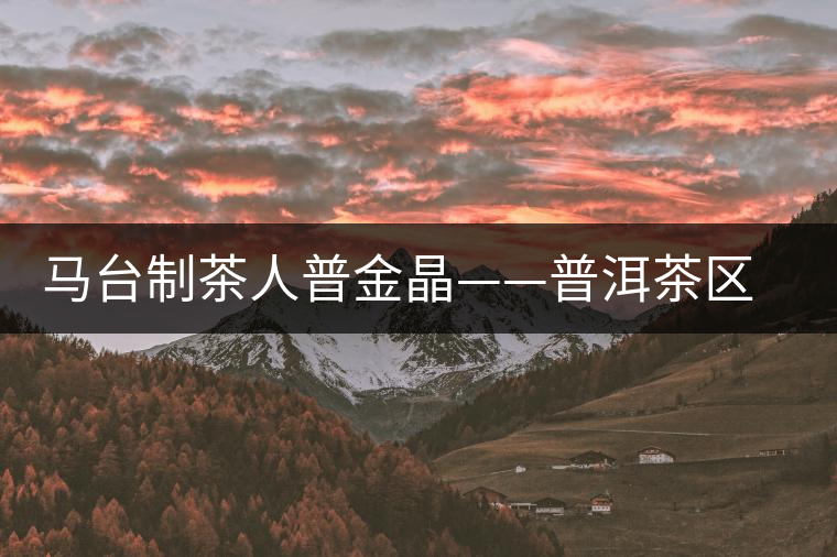 馬臺(tái)制茶人普金晶——普洱茶區(qū)小茶商系列專訪 馬臺(tái)制茶人普金晶——普洱茶區(qū)小茶商系列專訪