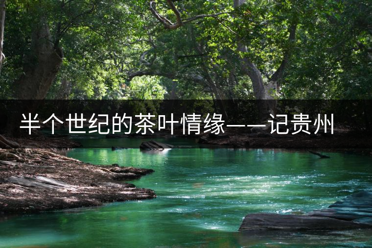 半個世紀(jì)的茶葉情緣——記貴州茶葉終身成就獎獲得者汪桓武