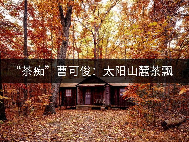 “茶癡”曹可?。禾柹铰床栾h香，清明時節(jié)采茶忙