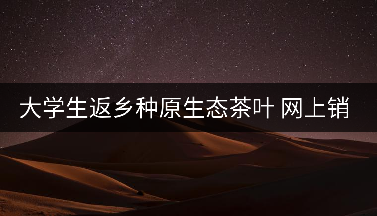 大學(xué)生返鄉(xiāng)種原生態(tài)茶葉 網(wǎng)上銷售獲好評