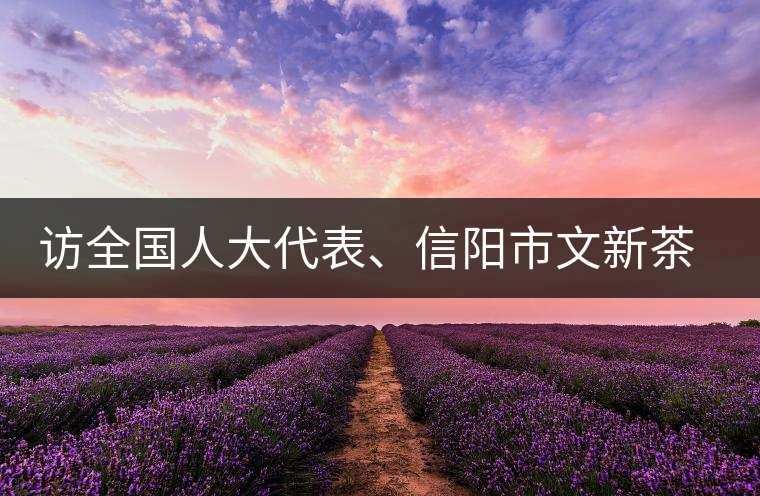 訪全國人大代表、信陽市文新茶葉有限責(zé)任公司董事長劉文新