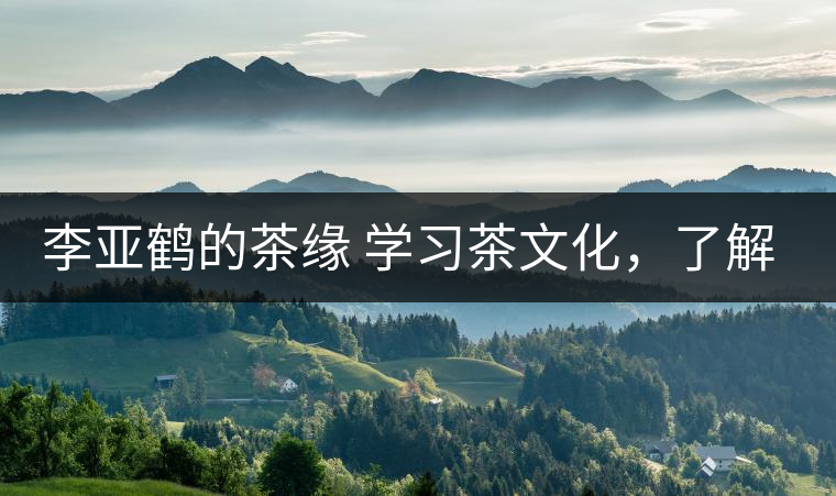 李亞鶴的茶緣 學(xué)習(xí)茶文化，了解茶文化，品味茶文化