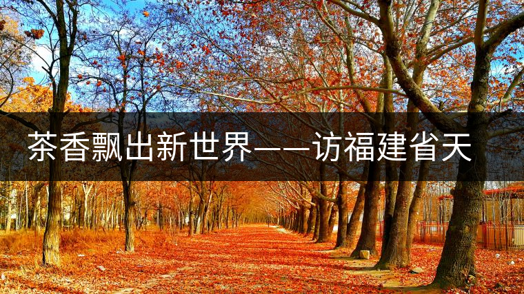 茶香飄出新世界——訪福建省天榮茶業(yè)有限公司董事長沈丞榮 茶香飄出新世界——訪福建省天榮茶業(yè)有限公司董事長沈丞榮