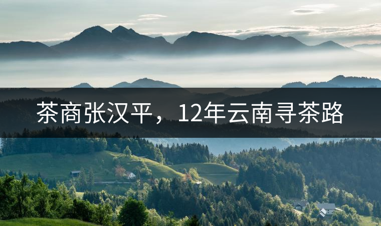 茶商張漢平，12年云南尋茶路