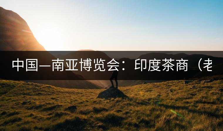 中國(guó)—南亞博覽會(huì)：印度茶商（老羅）暢談茶葉生意經(jīng)(圖)