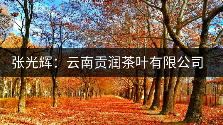 張光輝：云南貢潤(rùn)茶葉有限公司董事長(zhǎng)