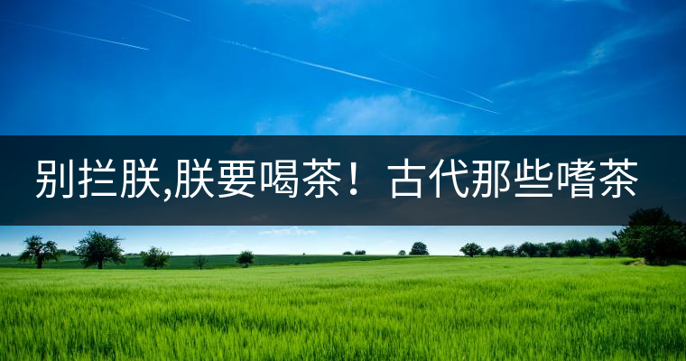 別攔朕,朕要喝茶！古代那些嗜茶如命的皇帝