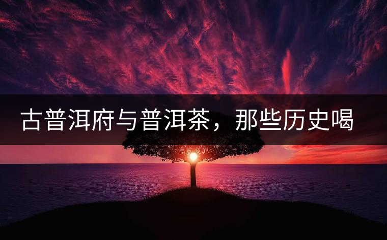 古普洱府與普洱茶，那些歷史喝茶的你應(yīng)該知道