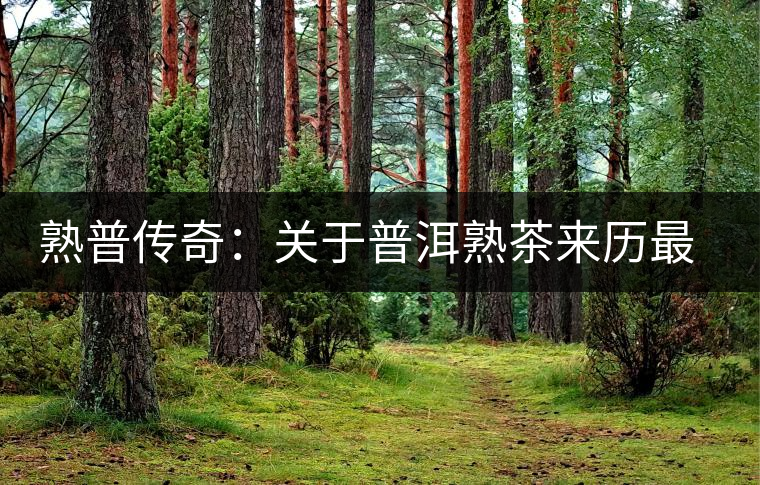 熟普傳奇：關(guān)于普洱熟茶來歷最詳細(xì)的編年史