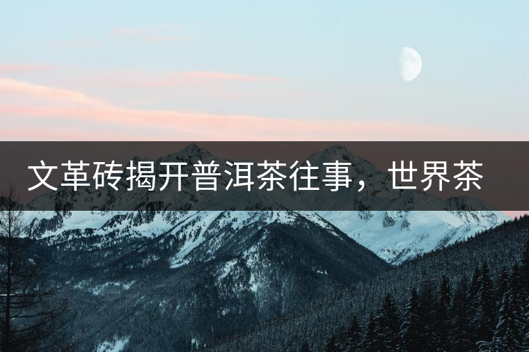 文革磚揭開普洱茶往事，世界茶文化交流協(xié)會成員共品經(jīng)典文革磚！