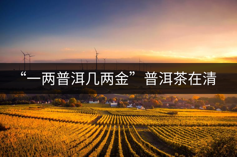 “一兩普洱幾兩金”普洱茶在清代為啥這么火？！