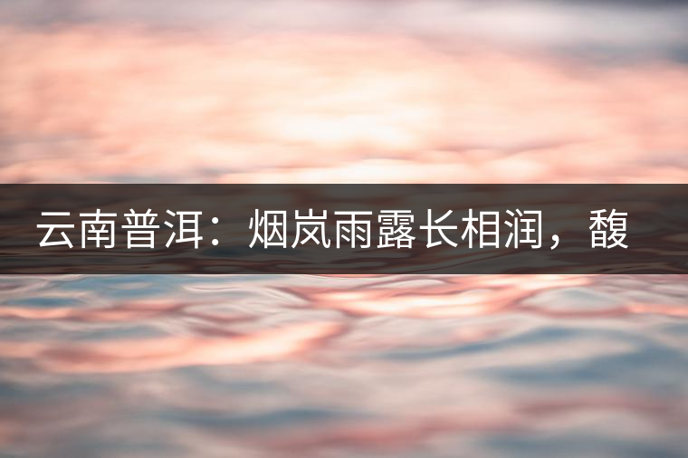 云南普洱：煙嵐雨露長(zhǎng)相潤(rùn)，馥郁芳香久久留